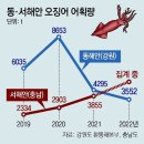 그냥 심심해서요. (22694) 오징어 1마리, 동해 3만원 이미지