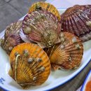 포항물회사랑 이미지