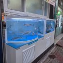 구미시립상모정수도서관 | 구미상모횟집 바다와 상모사곡점