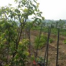 남진농장 이미지