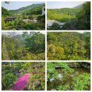 NR-3[경충대로]-하-200 | [경기광주/데이트코스] 화담숲 후기 / 예약방법, 입장료, 모노레일 예약 꿀팁, 반입금지물품 / 7-8...