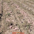 (주)다원산업 - 포항시 북구 | (주)다원산업