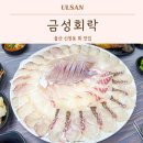 금성회락