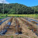 우산리입구 이미지