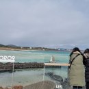 나인오션 이미지