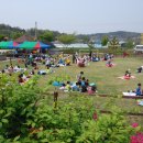 대파니힐링팜 이미지