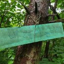 공작산 휴양림 펜션 이미지