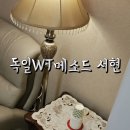 독일WT메소드 | 서현역 두피관리, 독일 WT메소드 분당서현점 관리사 손테크닉 찐텐인 곳