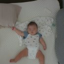 붕붕 소프트 이미지