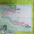 솔마루길 남산 | 솔마루길12km를 걸어보니 /2021솔마루길걷기대회 참여후기