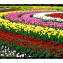 형제광택 이미지