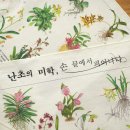 보태니컬 티스토리