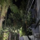 터프카우농장 | 무이네 사막투어 비용/일정/현지 업체 추천/ 무이네 톰 투어 100000% 만족하는 내돈내산 후기/가이드 추천