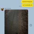 지민박 이미지