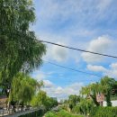 수원-0831 이미지