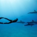 수원-0198 이미지