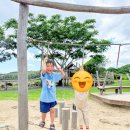 알프스파크 | 제주도 동쪽 가볼만한 곳, 엽서 같은 풍경 알프스 제주 카페