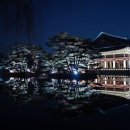 경복궁 Daum카페