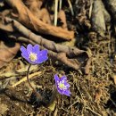 화원1리마을회관 이미지