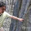 미포산단진입도로 이미지