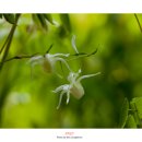 삼지목장 이미지