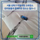 뭉치클린비치움 | 성북구 하월곡동 소파+카페트 청소, "반려동물과 함께라면 청소는 필수죠!" 건식+습식+스팀청소...