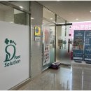 풋솔루션 이미지