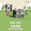 강릉청솔공원 이미지