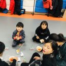 한라합기도 이미지
