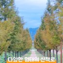 낙동강역사너울길 이미지