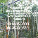 경산빵구 네이버블로그