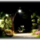 사랑을위하여 이미지