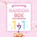 포인트악세사리 | 여성악세사리 미미몰 데일리 포인트 귀걸이 랜덤박스