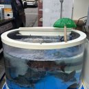 태평우체국 앞 이미지