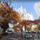 단지상가프라자 공인중개사사무소 이미지