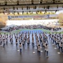 멘토 태권도 이미지