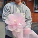 한국무용도라지 이미지