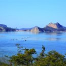 바다와 숲 이미지