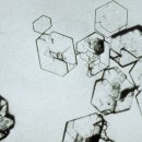 24시마음든든동물병원 이미지