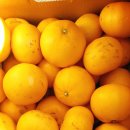 세일농장 이미지