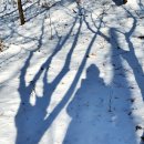 빛과 그림자 이미지