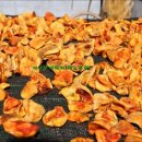 산사람농원(1) 이미지