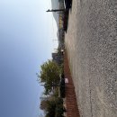 보리밥집 | 물왕저수지 맛집, 아기랑 가기 좋은 한식 맛집 정통보리밥집 후기