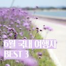 신안군관광협의회안좌퍼플교지점 | 6월 국내 여행지 추천 초여름 가볼만한곳 BEST 3 (신안 완도 장성)