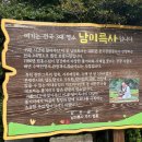 강진IC - 1148 | 미소 짓는 강진 남미륵: 역사와 자연 속 힐링 여행