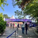 2023 월디페 토요일 2일차 l 월디페 edm 페스티벌 꿀팁 및 후기