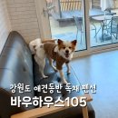 바우하우스 105 이미지