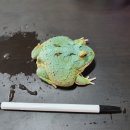 아성농장 이미지