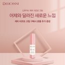 콧대높은 개 이미지