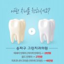 송파그린치과 이미지